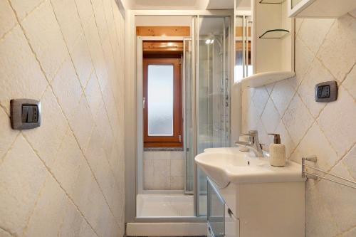 a bathroom with a sink and a shower at La Maisonnette in Valtournenche