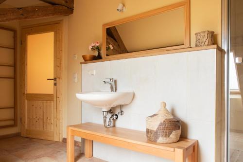 a bathroom with a sink and a mirror on the wall at Fewo Hohe Liebe in Rathmannsdorf