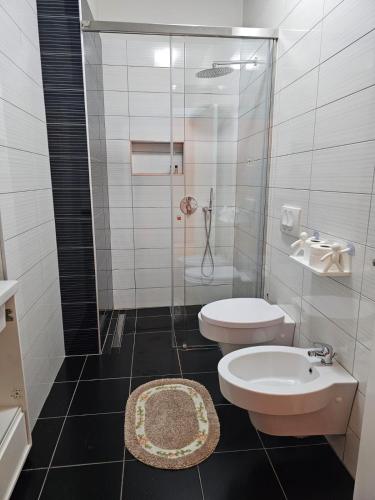 a bathroom with a shower and a toilet and a sink at central apart in Tirana