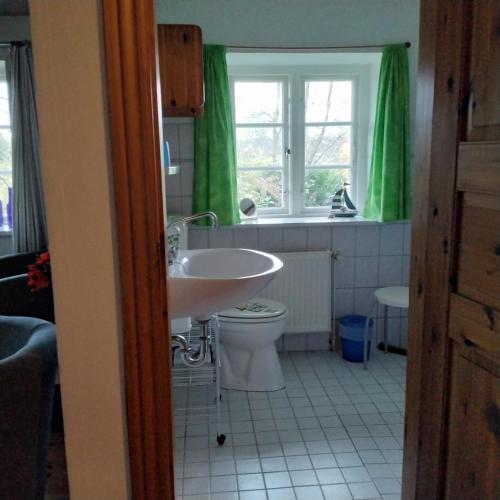 ein Badezimmer mit Waschbecken, Toilette und grünen Vorhängen in der Unterkunft Friesenhaus Anke in Struckum