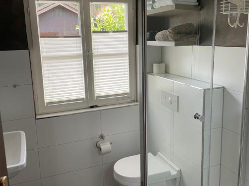 a bathroom with a toilet and a window at Ferienhaus Lena in Seebach