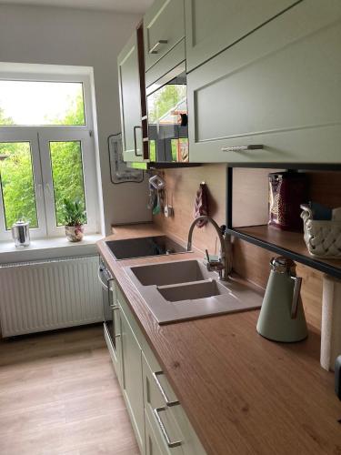 a kitchen with a sink and two windows at ehemaliges Gutsverwalterhaus in Mildenitz