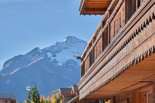 Marmotte 102