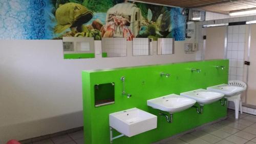 a green wall with three sinks in a public bathroom at Campingplatz Blauer See in Lünne