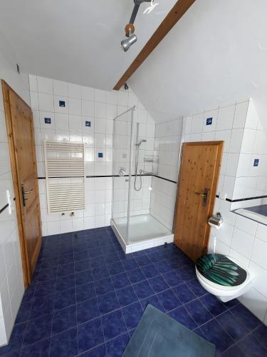 a bathroom with a shower and a toilet and a tub at Ferienwohnung Dorfprozelten in Dorfprozelten