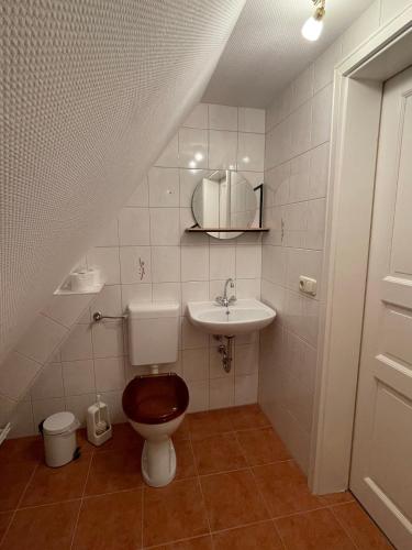 a bathroom with a toilet and a sink at Kleines Haus am Feld in Rehna