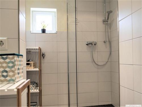 a shower with a glass door in a bathroom at Schmiede Burkheim in Vogtsburg