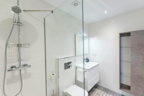 a bathroom with a shower and a toilet and a sink at Luxury apartment in Cómpeta