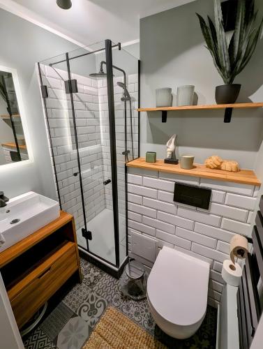a bathroom with a shower and a toilet and a sink at Ferienwohnung Nautilus in Heiligenhafen