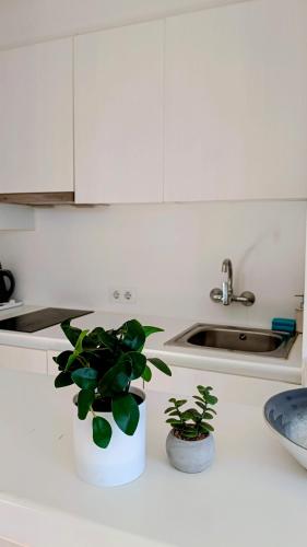 a kitchen counter with two potted plants and a sink at Magda - Cala En Porter in Cala en Porter