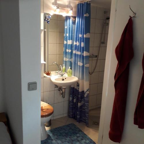 a bathroom with a sink and a toilet and a shower at Ferienwohnungen Hiddenseeblick 3 in Dranske