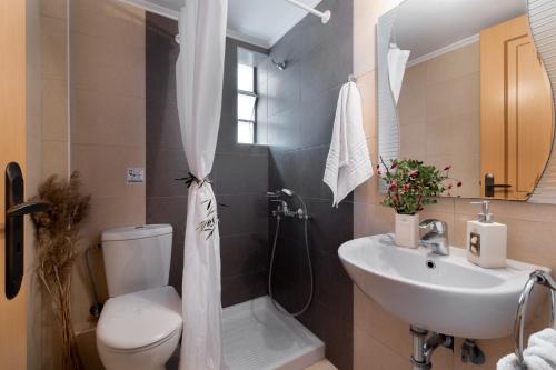 a bathroom with a toilet and a sink at Villa Votistis A1 in Lefkada