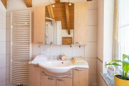 a bathroom with a sink and a mirror at Haus Sonnenschein in Eriskirch