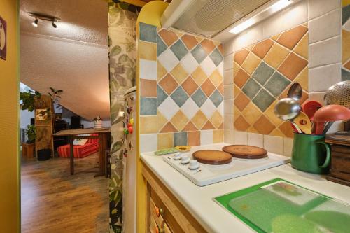 a kitchen with a stove top oven in a kitchen at L'Edelweiss in Saint-Pierre-de-Chartreuse