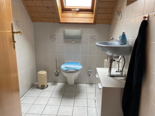 a small bathroom with a toilet and a sink at Ferienwohnung Heilsbronn in Heilsbronn