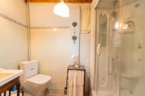 a bathroom with a toilet and a shower at Cal Barral in Ansobell
