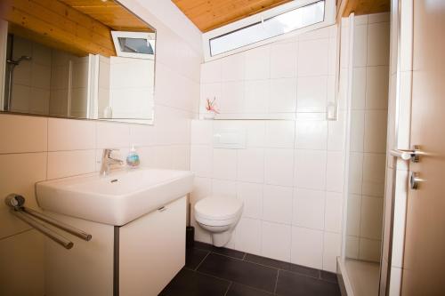 a bathroom with a sink and a toilet at Ferienwohnung Aichem in Radolfzell am Bodensee