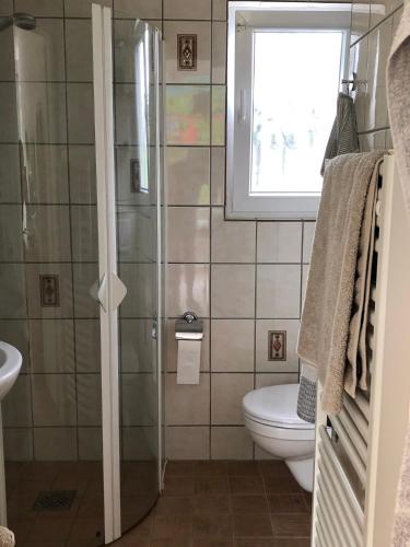 a bathroom with a shower and a toilet and a window at Haus Piratennest in Grömitz
