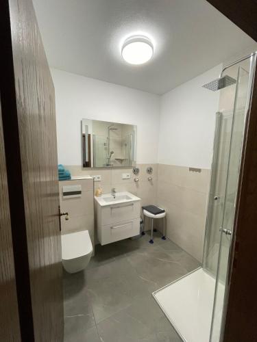 a bathroom with a toilet and a sink and a shower at Ferienwohnung M Keller in Hollfeld