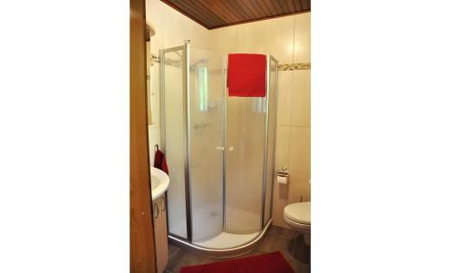 a bathroom with a shower and a toilet and a sink at Waldhaus Jakober in Maasdorf
