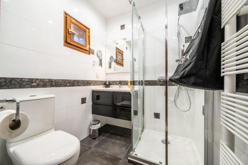 a bathroom with a toilet and a shower at Au rêve savoyard 2 - 4 personnes in Morillon