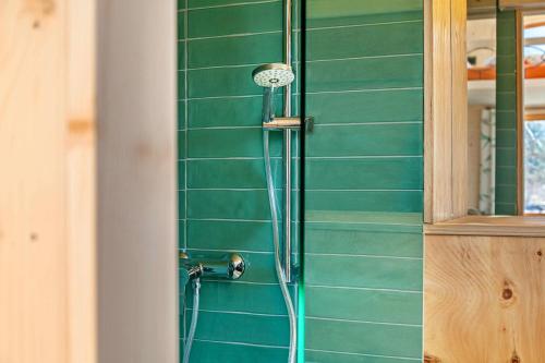 a shower in a bathroom with a green wall at Loft Süd in Unterammergau