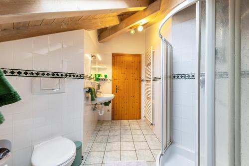 a bathroom with a toilet and a sink at Weingut Lieselehof Apt Panorama in Caldaro