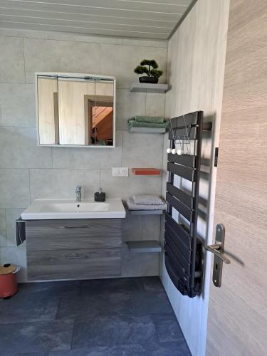a bathroom with a sink and a mirror at Maison Maurer in Aschbach