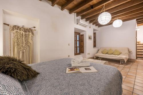 Apartment Elvira Street with Wifi