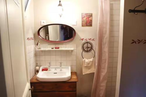 a bathroom with a sink and a mirror at Gite - Le befoigneu in Ferdrupt