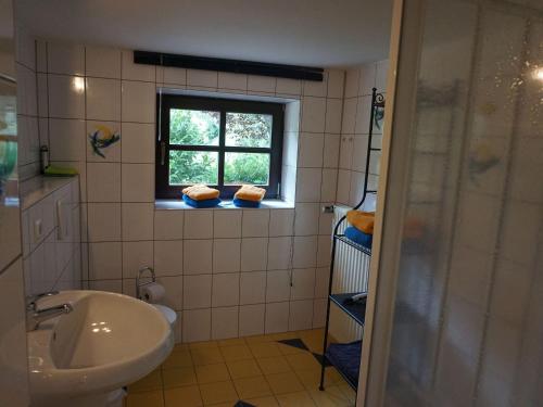 a bathroom with a sink and a window at Ferienhaus am Leiselbach in Leisel