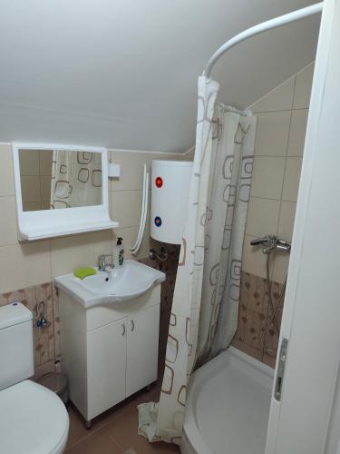 a bathroom with a toilet sink and a shower at Apartmani Gradac in Valjevo