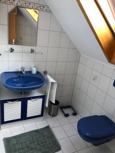 a bathroom with a blue sink and a toilet at Faißbauernhof in Winden im Elztal