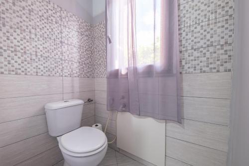 a white bathroom with a toilet and a shower at La Casa dei Limoni in Gaggi