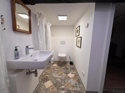 a bathroom with a sink and a toilet at Lorenzfranzl in Sankt Oswald ob Eibiswald