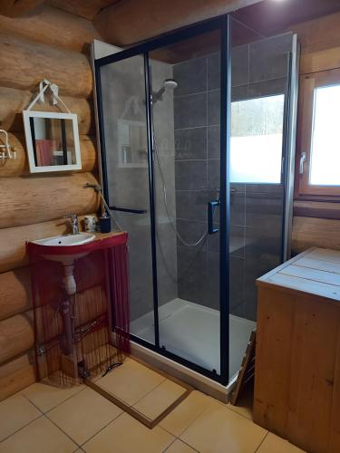 a bathroom with a shower and a sink at Le Chalet Neige in Chorges