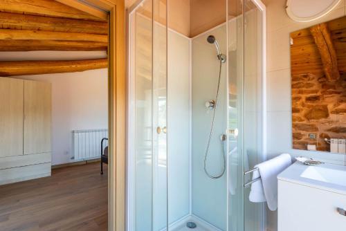 a bathroom with a shower and a sink at Casa Tunino in Monforte de Lemos