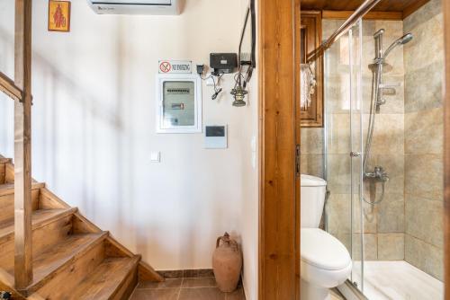 a bathroom with a toilet and a walk in shower at Traditional Thea Home Vati Rhodes in Vátion