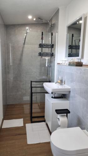 a bathroom with a toilet and a sink and a shower at Ferienhaus zum Wunschglockerl in Schrems