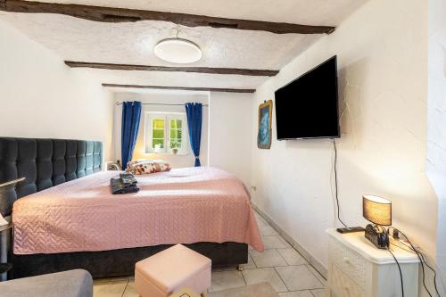 a bedroom with a pink bed and a tv at Appartment Schlossmühle in Olsberg in Olsberg
