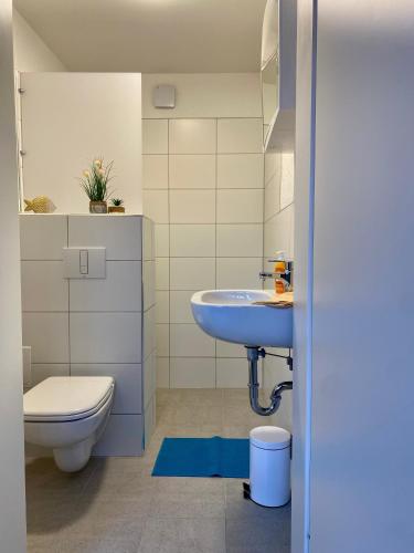 a bathroom with a toilet and a sink at Fischerhaus Zecherin in Zecherin