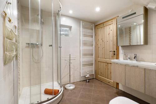 a bathroom with a shower and a toilet and a sink at Ferienwohnungen 'am Waldrand' in Bad Gottleuba