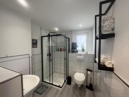 a bathroom with a shower and a toilet and a sink at M und S - Landidyll am Weiher in Harsum