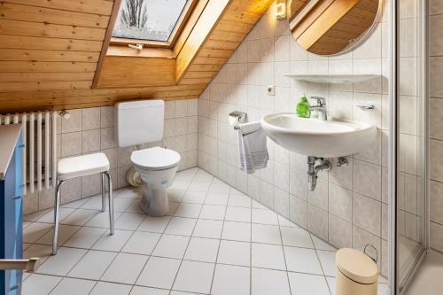 a bathroom with a toilet and a sink at Ferienwohnungen Martin Lafar in Öhningen