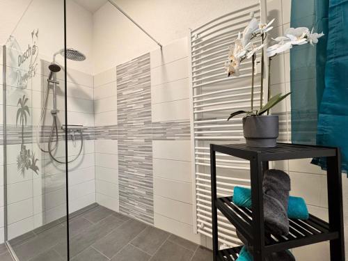 a bathroom with a shower and a black shelf at Ferienwohnung Auszeit Harz in Bad Sachsa