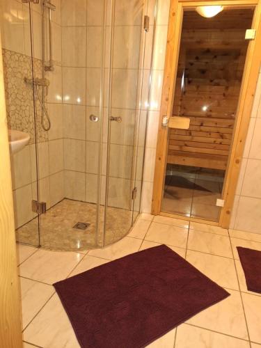 a shower with a glass door in a bathroom at Adlerhütte in Stall