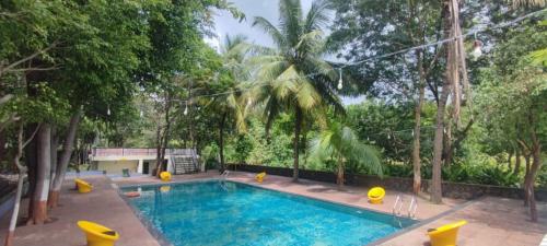a swimming pool in the middle of a forest at Hiranya Nature Retreat in Daulatābād