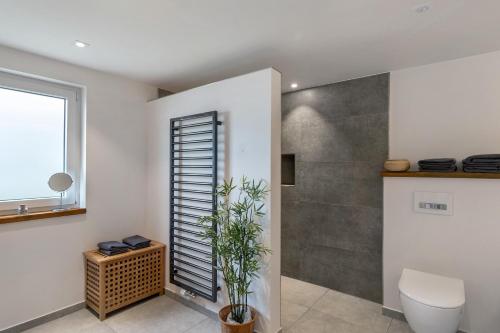 a bathroom with a toilet and a shower at Haus Elisabeth in Lauf