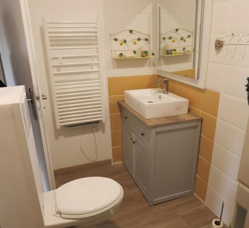 a bathroom with a toilet and a sink and a mirror at Gîte Le Penn-ty in Rosporden