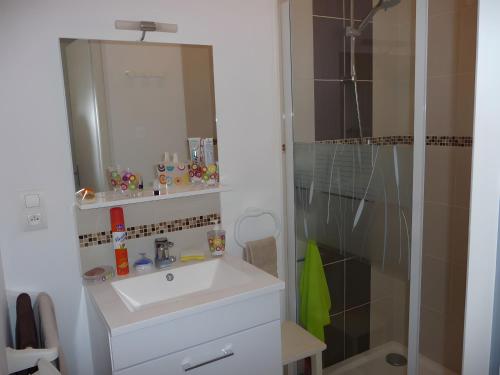 a bathroom with a sink and a shower at La Voile Blanche - 36 in Pornic